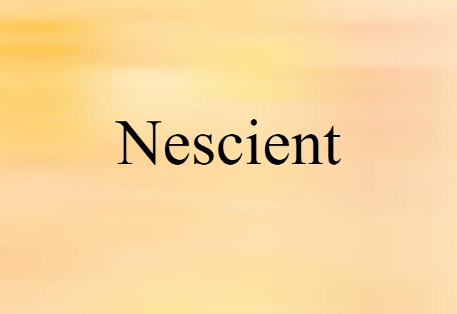 Nescient (noun) Definition, Meaning & Examples