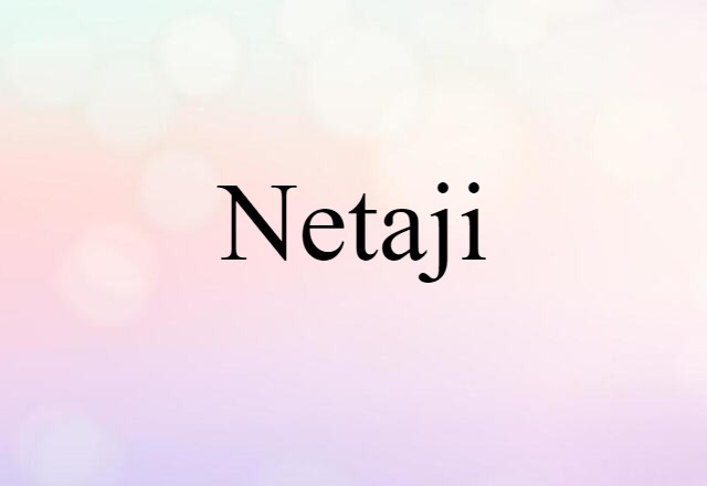 Netaji (noun) Definition, Meaning & Examples