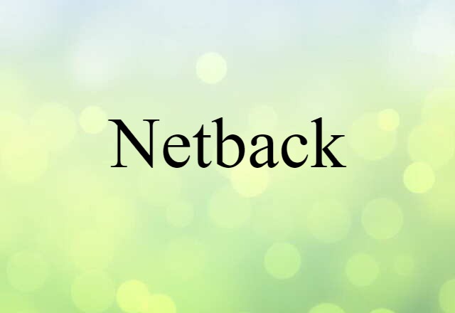 Netback (noun) Definition, Meaning & Examples