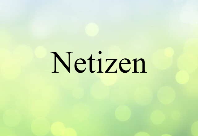 Netizen (noun) Definition, Meaning & Examples