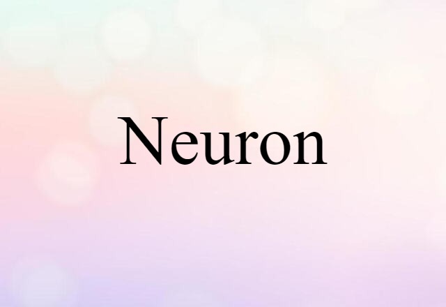 neuron