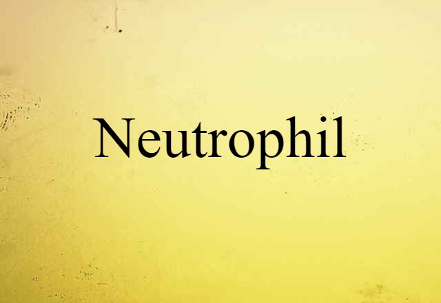 neutrophil