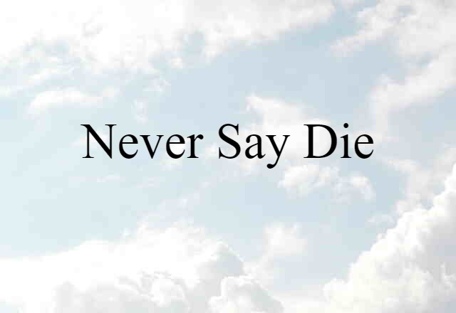 Never Say Die (noun) Definition, Meaning & Examples