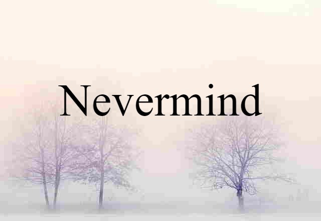 Nevermind (noun) Definition, Meaning & Examples