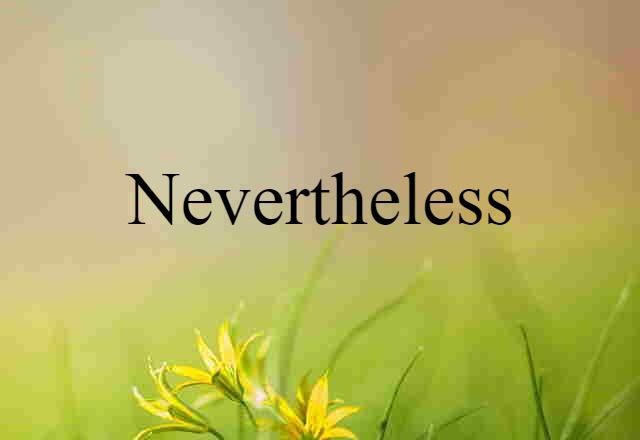 Nevertheless (noun) Definition, Meaning & Examples