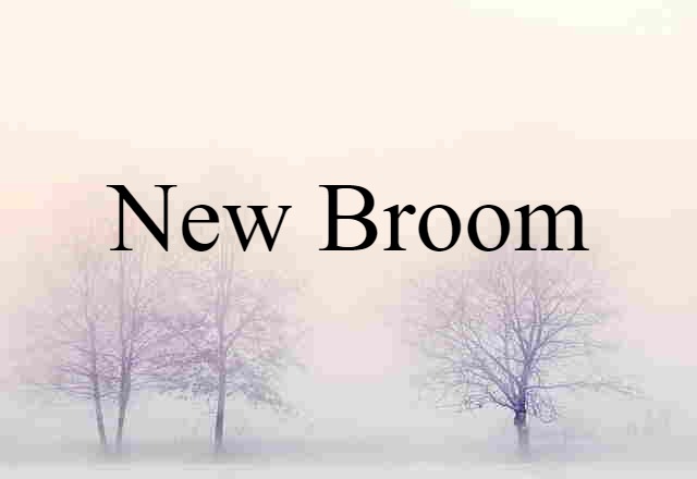 New Broom (noun) Definition, Meaning & Examples