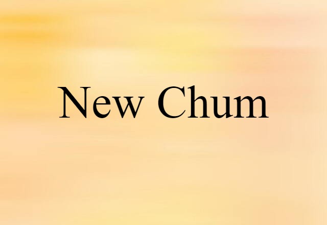 New Chum (noun) Definition, Meaning & Examples