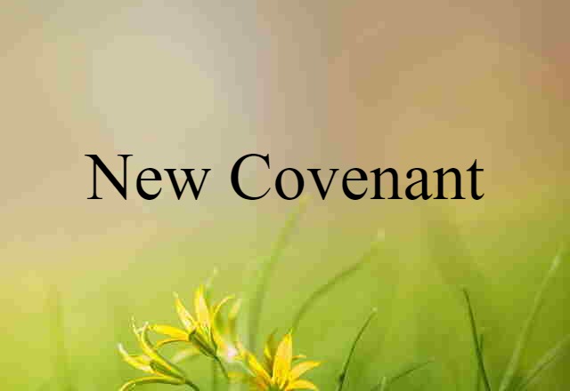 New Covenant (noun) Definition, Meaning & Examples