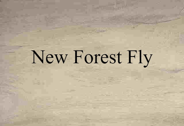 New Forest Fly (noun) Definition, Meaning & Examples