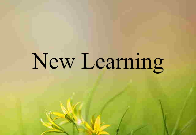 New Learning (noun) Definition, Meaning & Examples