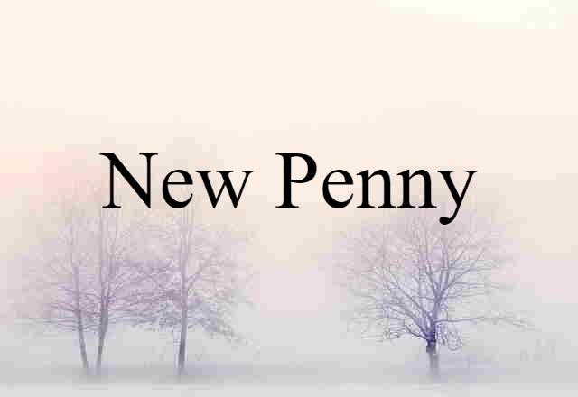 New Penny (noun) Definition, Meaning & Examples