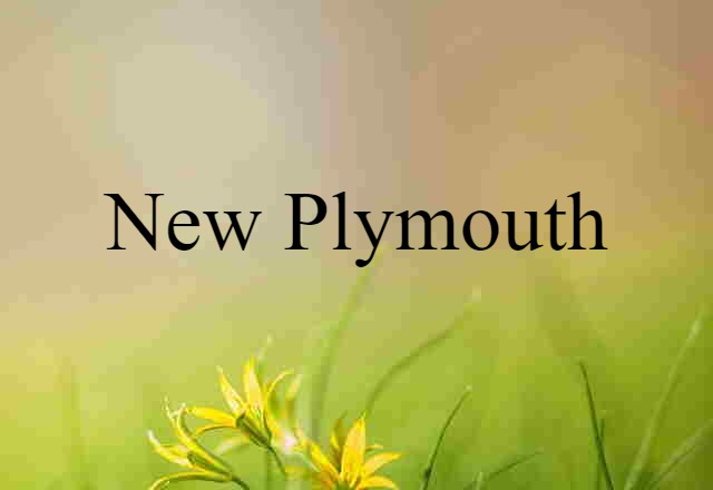 New Plymouth (noun) Definition, Meaning & Examples