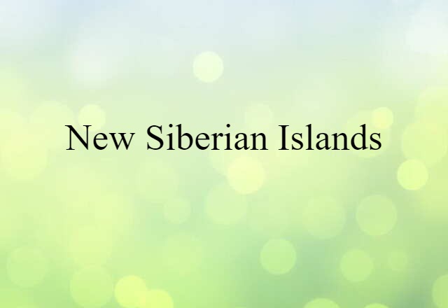 New Siberian Islands (noun) Definition, Meaning & Examples