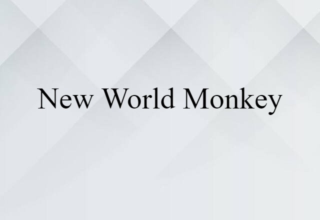 New World Monkey (noun) Definition, Meaning & Examples