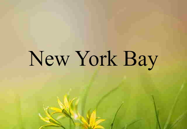 New York Bay (noun) Definition, Meaning & Examples