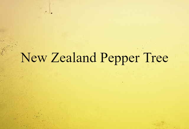 New Zealand pepper tree