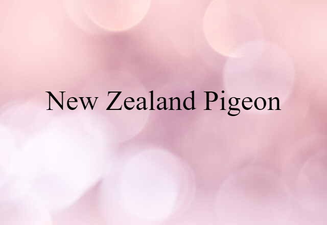 New Zealand pigeon