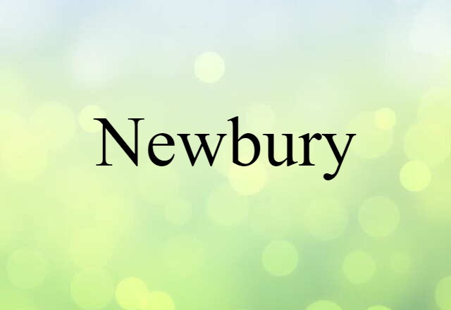 Newbury (noun) Definition, Meaning & Examples