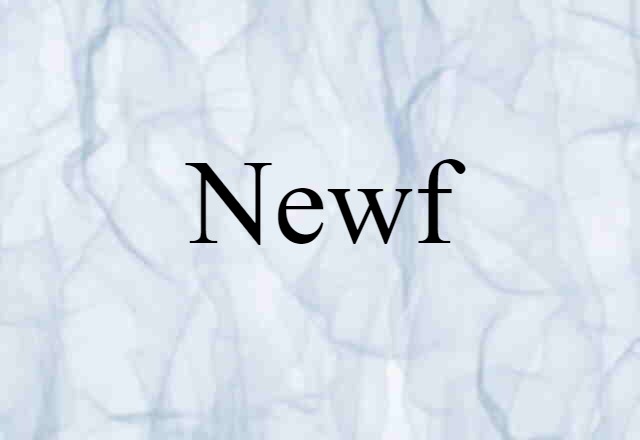 Newf (noun) Definition, Meaning & Examples