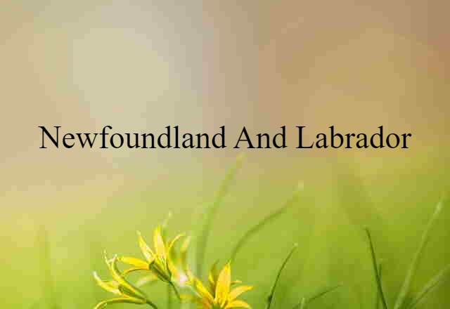 Newfoundland And Labrador (noun) Definition, Meaning & Examples