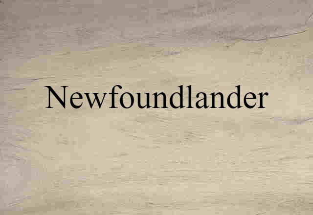 Newfoundlander