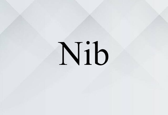 Nib (noun) Definition, Meaning & Examples