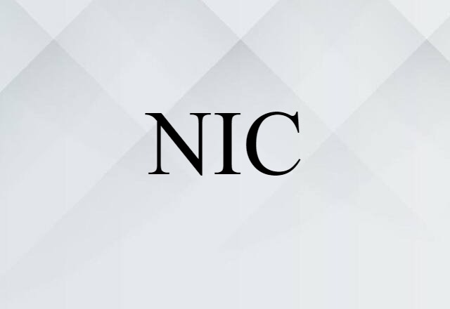 NIC (noun) Definition, Meaning & Examples