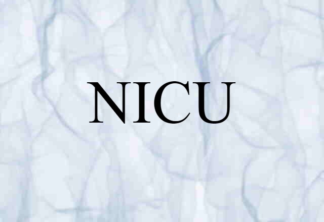 NICU (noun) Definition, Meaning & Examples