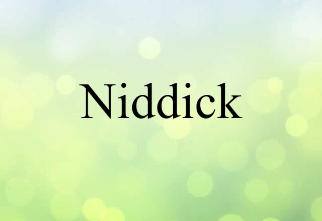 Niddick (noun) Definition, Meaning & Examples