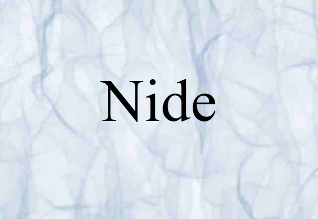 Nide (noun) Definition, Meaning & Examples