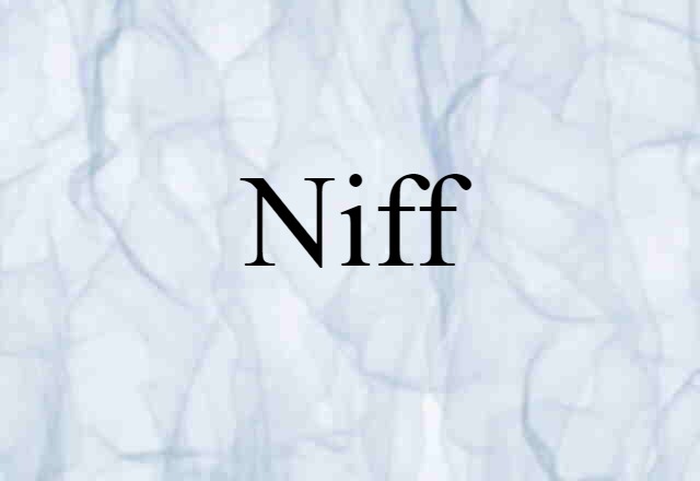 Niff (noun) Definition, Meaning & Examples