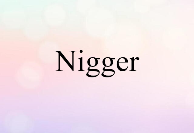 Nigger (noun) Definition, Meaning & Examples