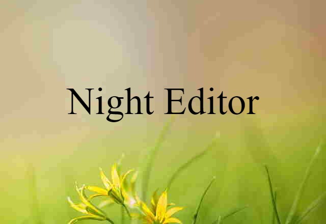 Night Editor (noun) Definition, Meaning & Examples