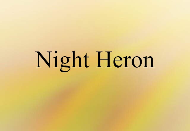 Night Heron (noun) Definition, Meaning & Examples