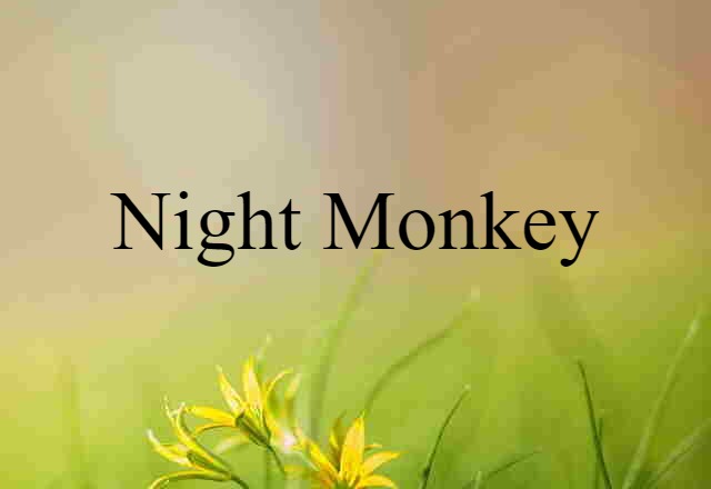 Night Monkey (noun) Definition, Meaning & Examples