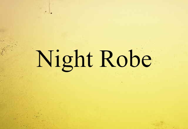 Night Robe (noun) Definition, Meaning & Examples