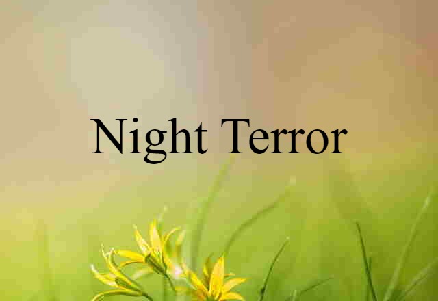 Night Terror (noun) Definition, Meaning & Examples