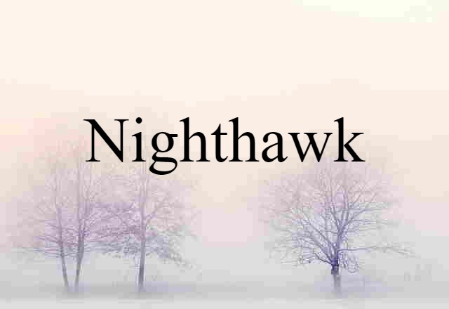 Nighthawk (noun) Definition, Meaning & Examples