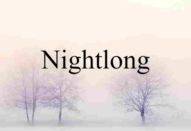 Nightlong (noun) Definition, Meaning & Examples