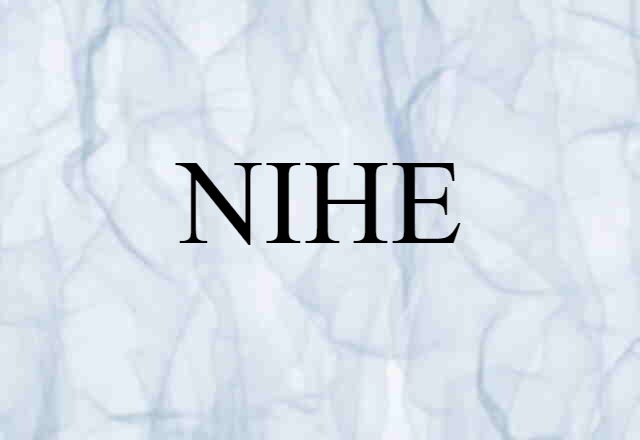 NIHE (noun) Definition, Meaning & Examples