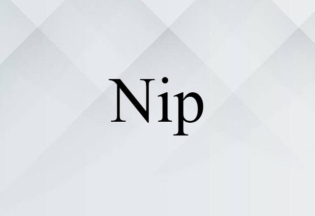 Nip (noun) Definition, Meaning & Examples