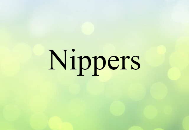 Nippers (noun) Definition, Meaning & Examples