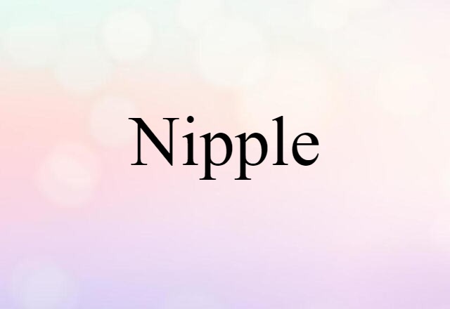 Nipple (noun) Definition, Meaning & Examples