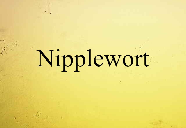 nipplewort