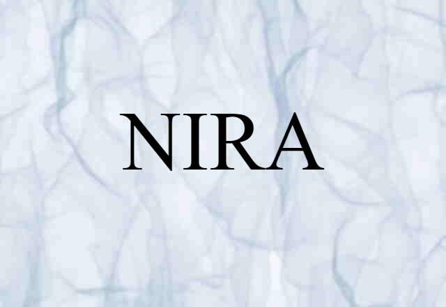 NIRA (noun) Definition, Meaning & Examples