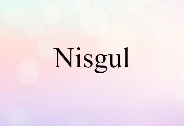 Nisgul (noun) Definition, Meaning & Examples