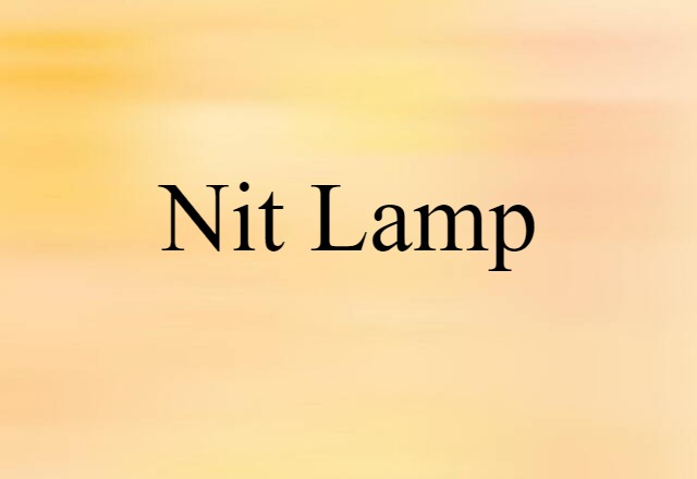 Nit-lamp (noun) Definition, Meaning & Examples