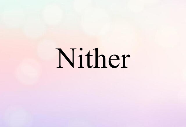 Nither (noun) Definition, Meaning & Examples