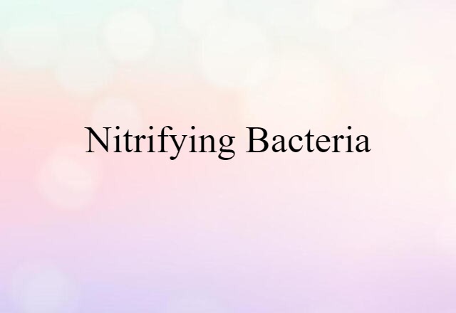 nitrifying bacteria