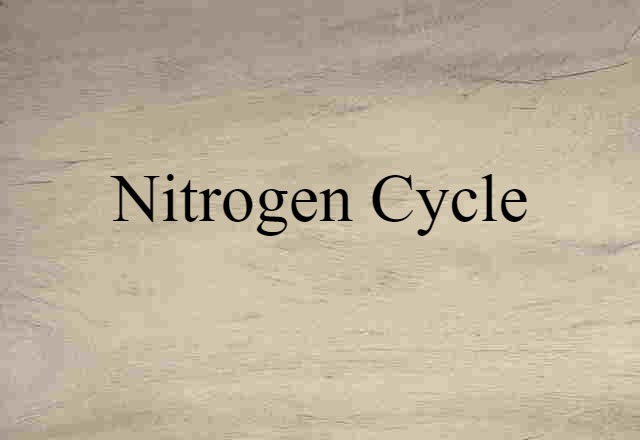 Nitrogen Cycle (noun) Definition, Meaning & Examples